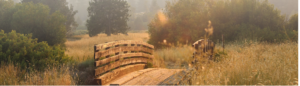 brThe-Last-Resort-Recovery-Center-Mens-Addiction-Treatment-Texas